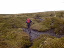 DSC90376.JPG