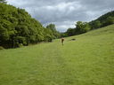 DSC90382.JPG