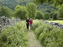 DSC90384.JPG