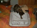 DSCF0012.JPG