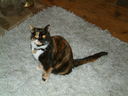 DSCF00121.JPG