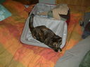DSCF0013.JPG