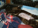 DSCF0028.JPG