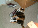 DSCF0057.JPG
