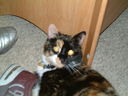 DSCF0058.JPG