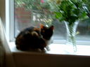 DSCF0066.JPG