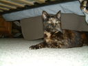 DSCF0071.JPG