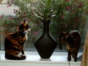 DSCF0080.JPG