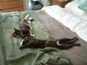 DSCF0081.JPG