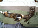 DSCF0083.JPG