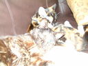 DSCF0091.JPG