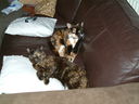 DSCF0151.JPG